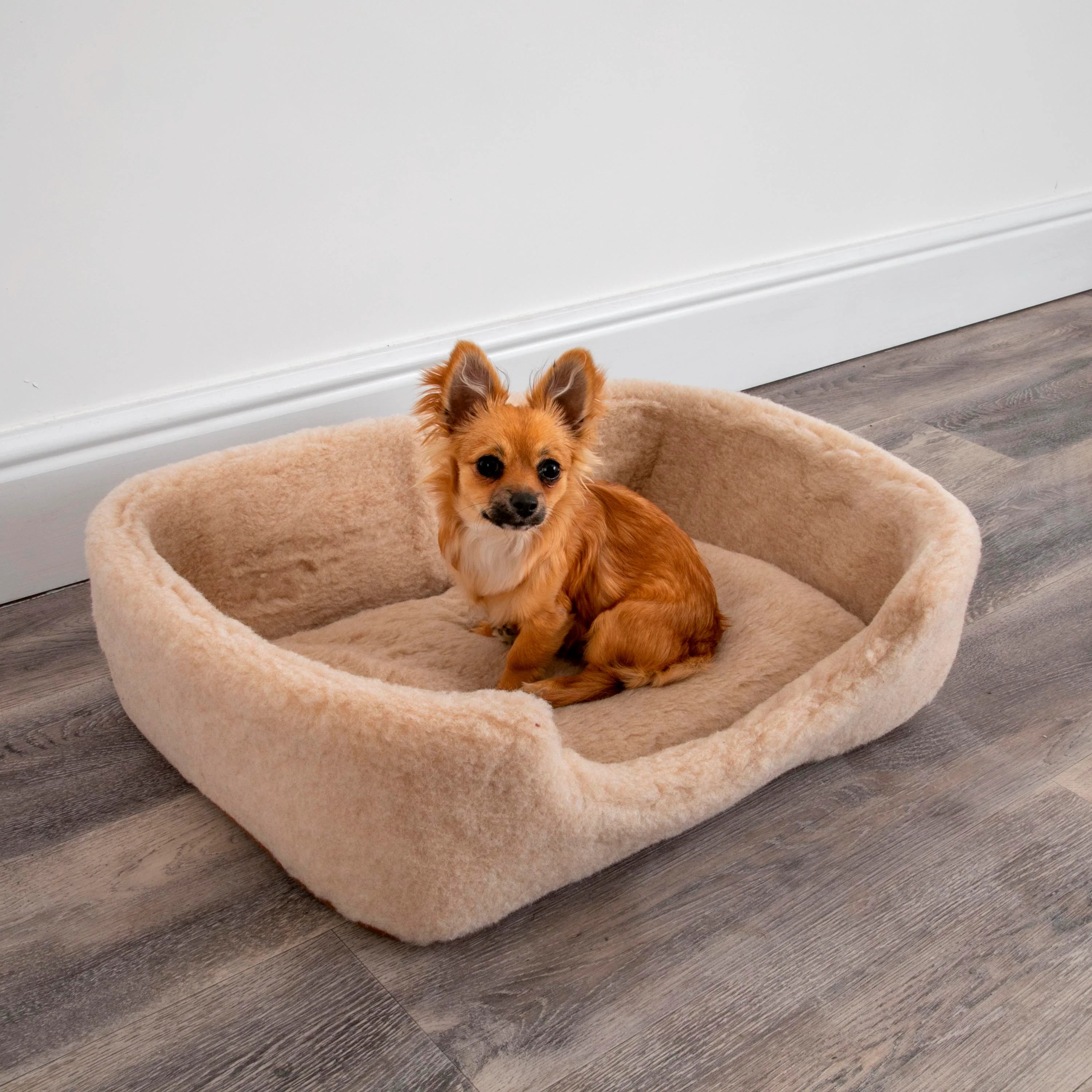 Pet Beds Merino Wool Pet Bed (Small/Medium) cappuccino Oakavia