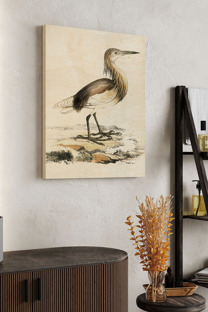 Antique Heron I Wood Art Print - Oakavia