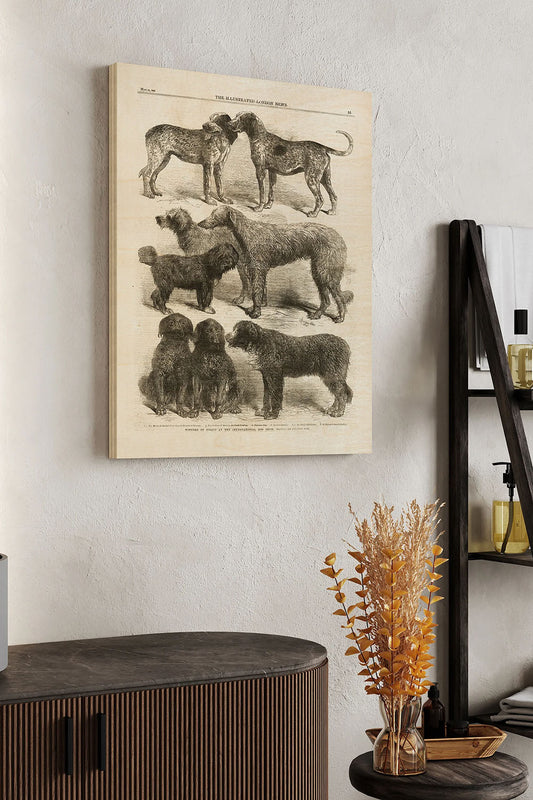 International Dog Show II Wood Art Print - Oakavia