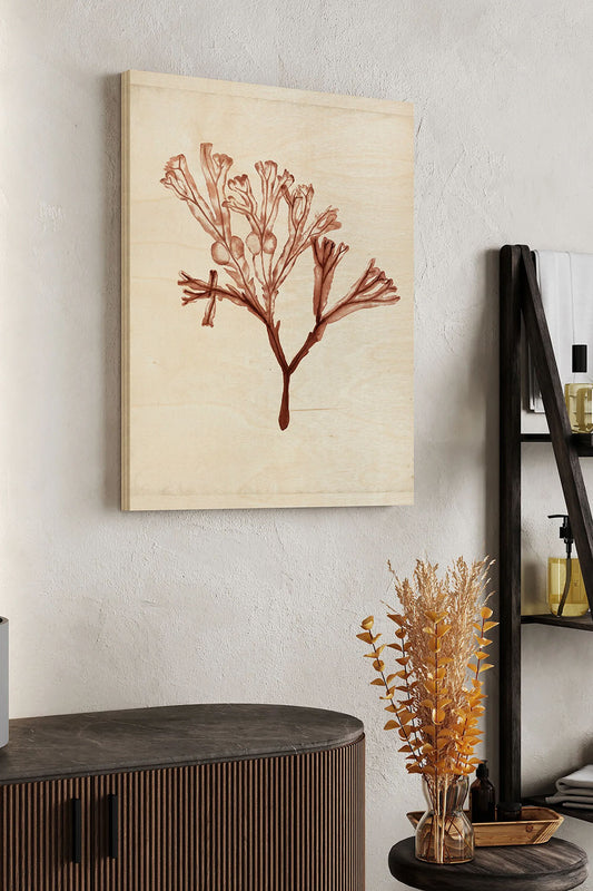 Seaweed Specimens V Wood Art Print - Oakavia