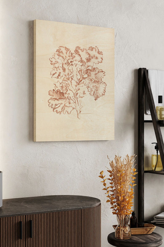 Seaweed Specimens VI Wood Art Print - Oakavia