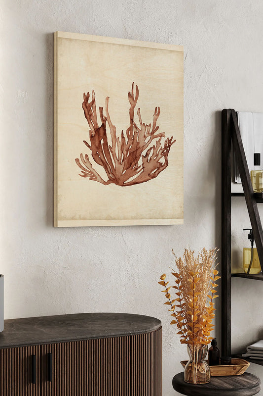 Seaweed Specimens VII Wood Art Print - Oakavia