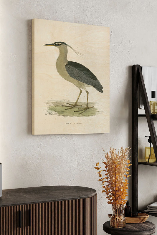 Vintage Night Heron Wood Art Print - Oakavia