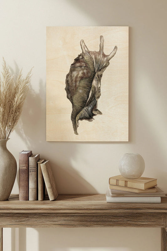 Watercolor Seashell IV Wood Art Print - Oakavia
