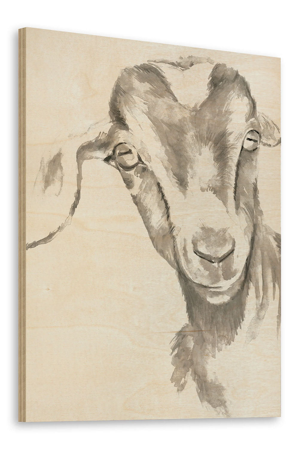 Farm Faces IV Wood Art Print - Oakavia