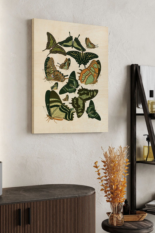 Green Butterfly Study Wood Art Print - Oakavia
