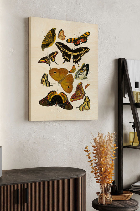 Yellow Butterfly Study Wood Art Print - Oakavia
