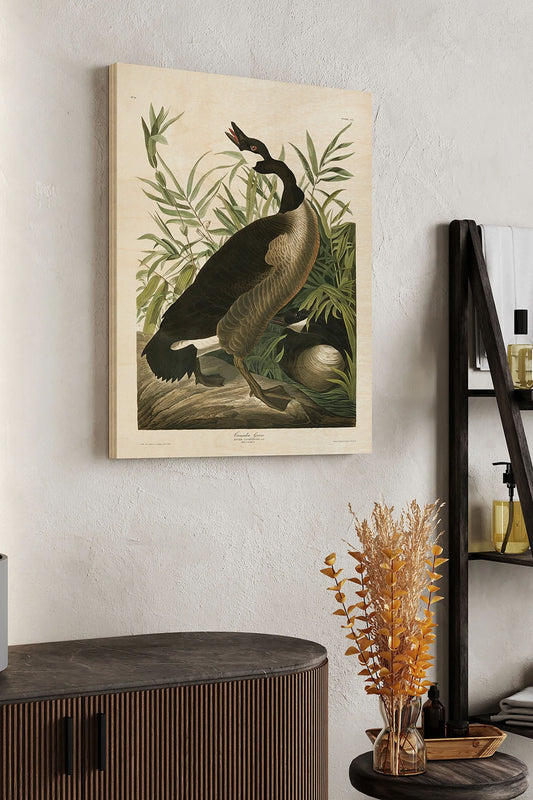 Pl 201 Canada Goose Wood Art Print - Oakavia