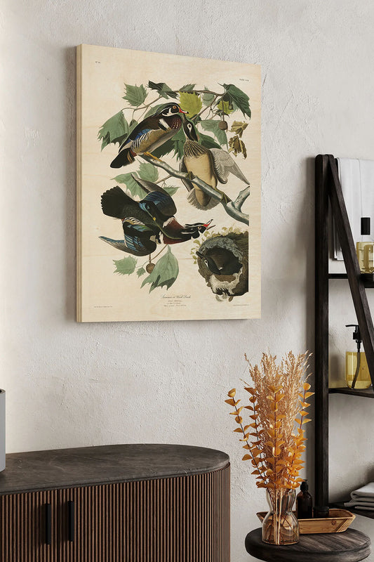 Pl 206 Wood Duck Wood Art Print - Oakavia