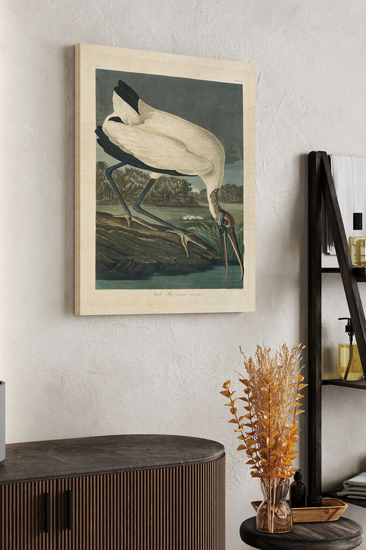 Pl 216 Wood Ibis Wood Art Print - Oakavia