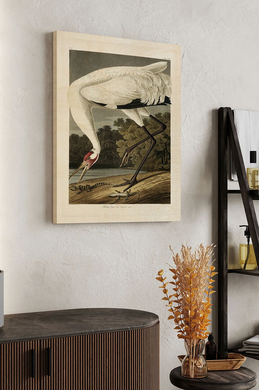 Pl 226 Hooping Crane Wood Art Print - Oakavia