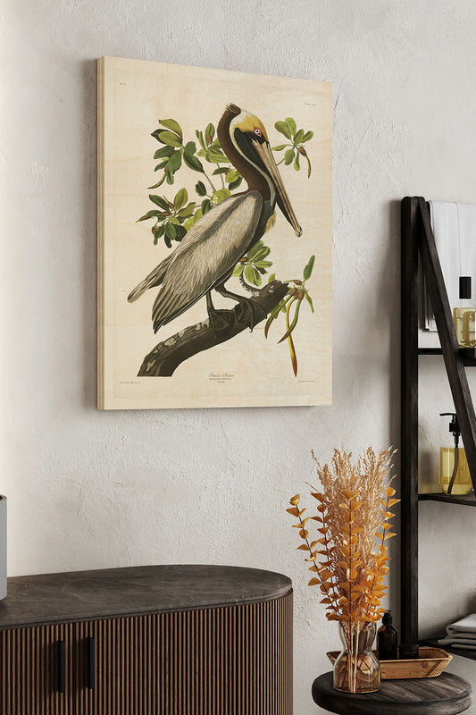Pl 251 Brown Pelican Wood Art Print - Oakavia