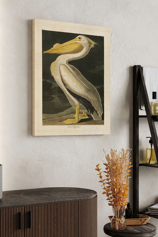 Pl 311 American White Pelican Wood Art Print - Oakavia
