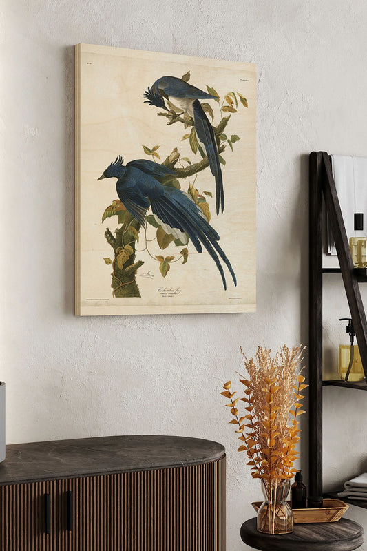 Pl 96 Columbia Jay Wood Art Print - Oakavia