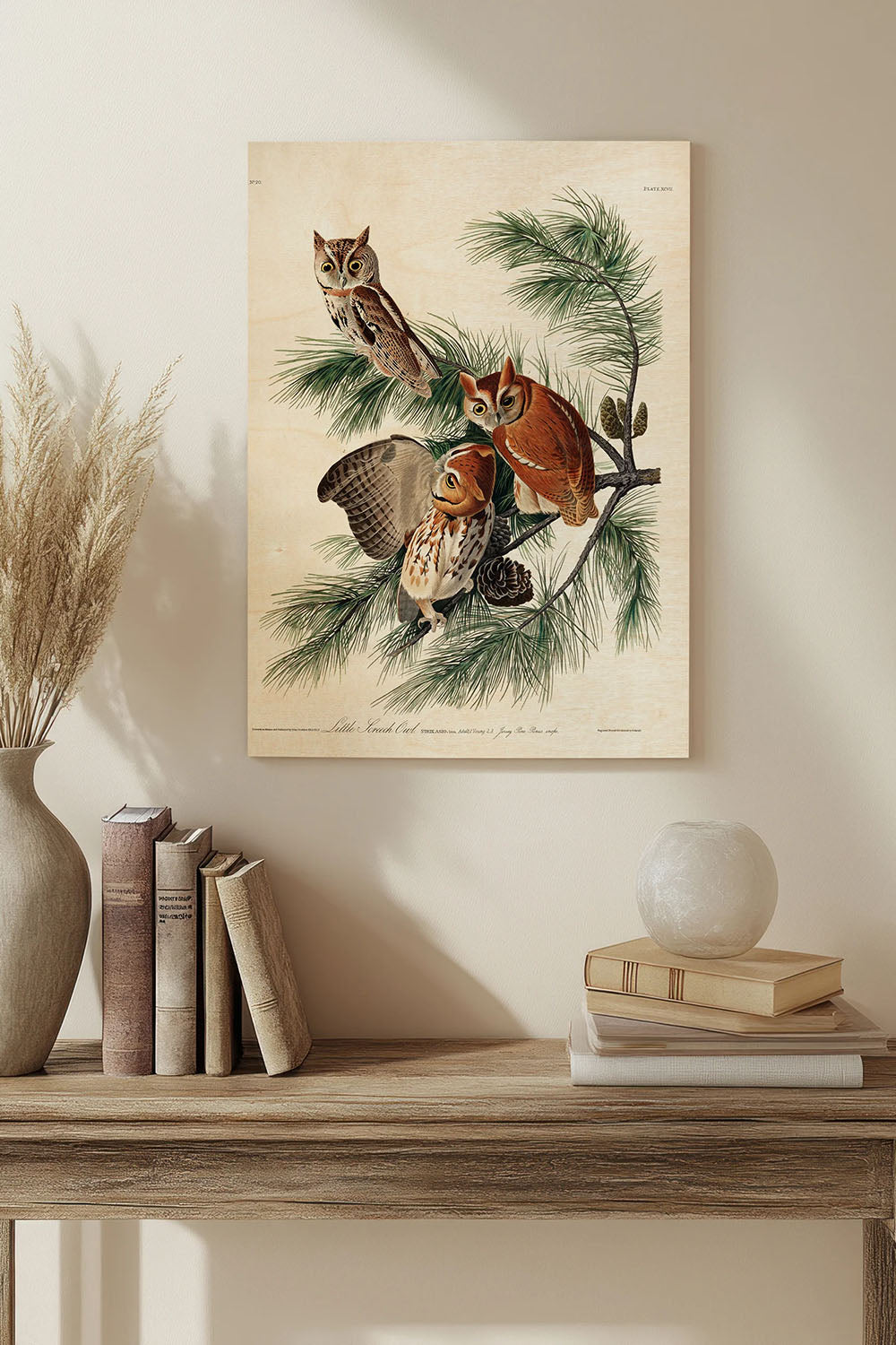 Pl 97 Little Screech Owl Wood Art Print - Oakavia