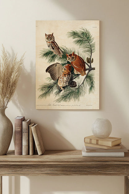 Pl 97 Little Screech Owl Wood Art Print - Oakavia