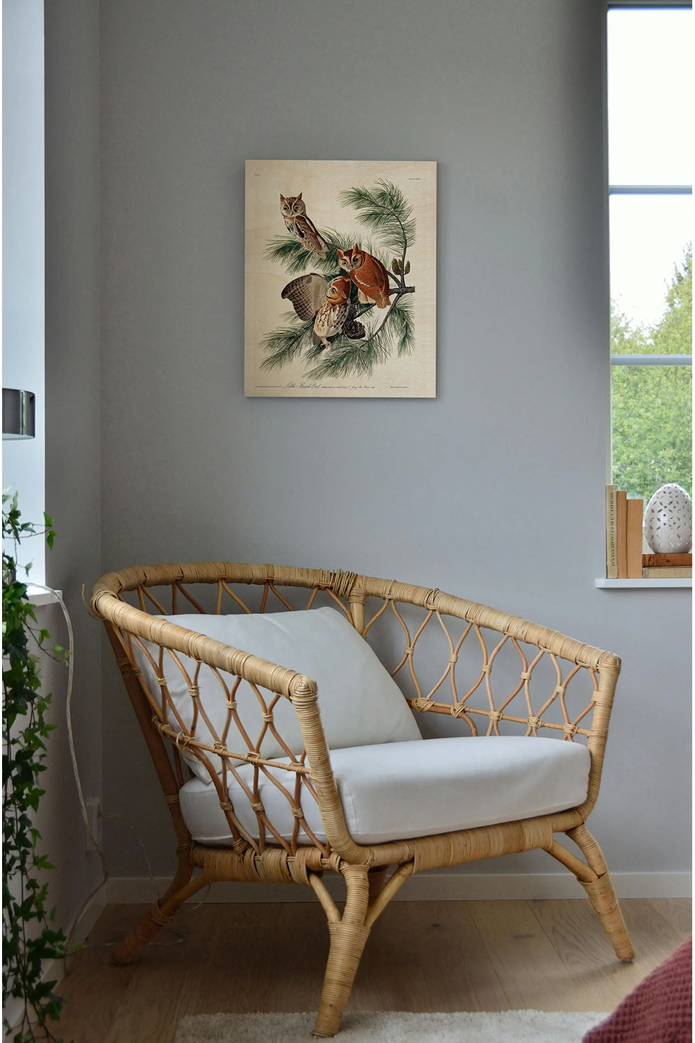 Pl 97 Little Screech Owl Wood Art Print - Oakavia