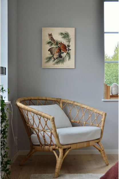 Pl 97 Little Screech Owl Wood Art Print - Oakavia