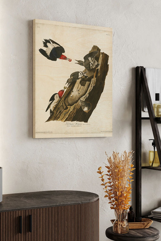 Pl. 27 Red-headed Woodpecker Wood Art Print - Oakavia