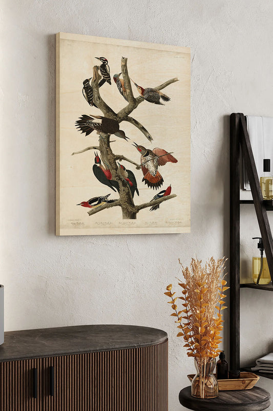 Pl. 416 Hairy Woodpecker Wood Art Print - Oakavia