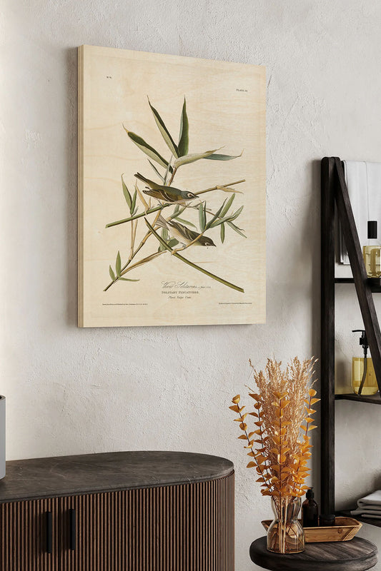 Pl. 28 Vireo Solitarius Wood Art Print - Oakavia