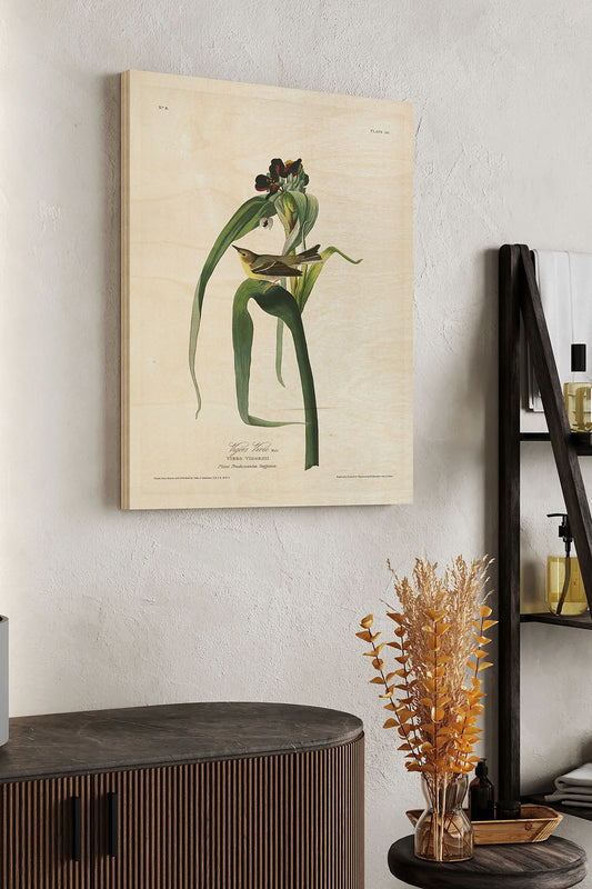 Pl. 30 Vigors Vireo Wood Art Print - Oakavia