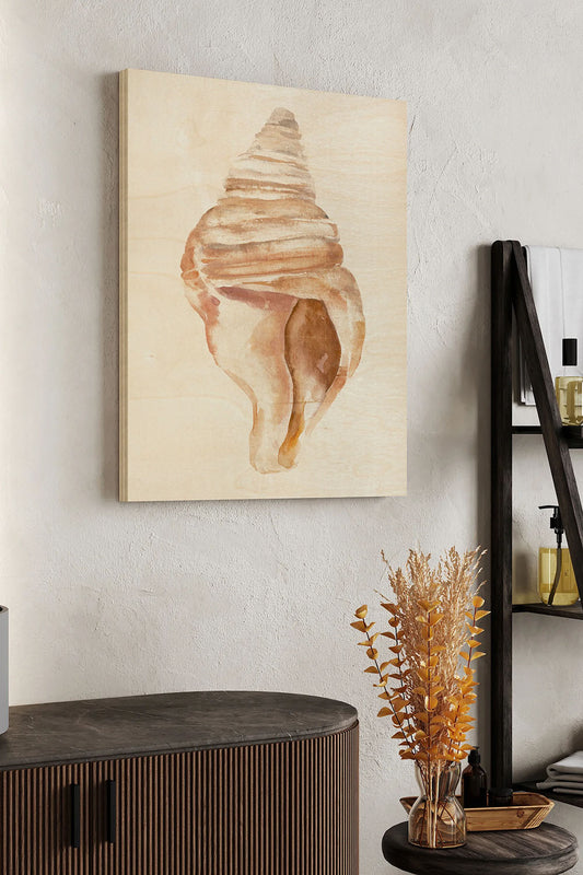 Seashell II Wood Art Print - Oakavia