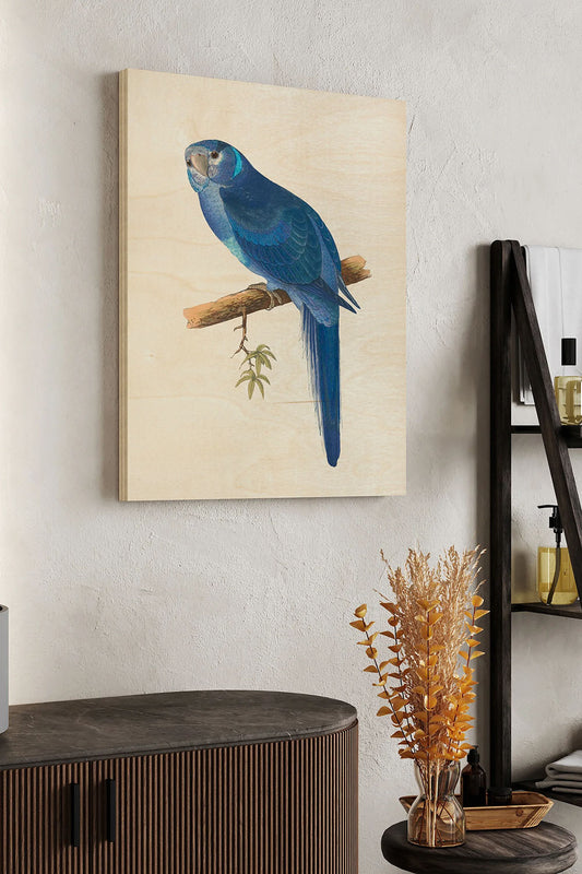 Blue Parrots II Wood Art Print - Oakavia