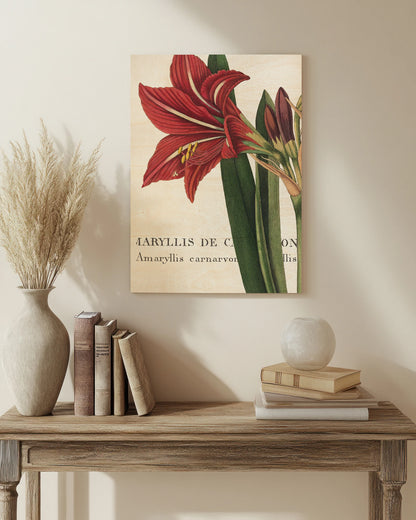 Botanique I Print - Oakavia
