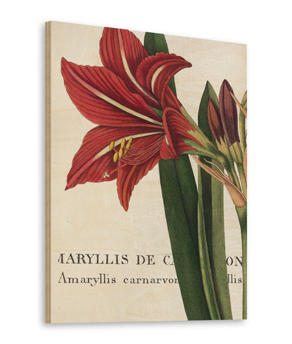 Botanique I Print - Oakavia