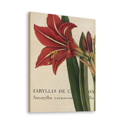 Botanique I Print - Oakavia