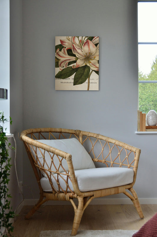 Botanique III Print - Oakavia