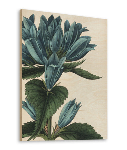 Botanique II no Words Print - Oakavia