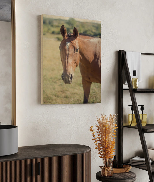 Polo Pony II Print - Oakavia