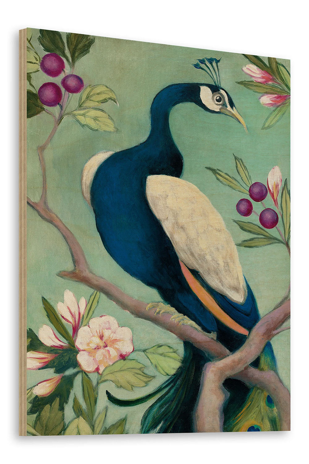 Pretty Peacock I Print - Oakavia