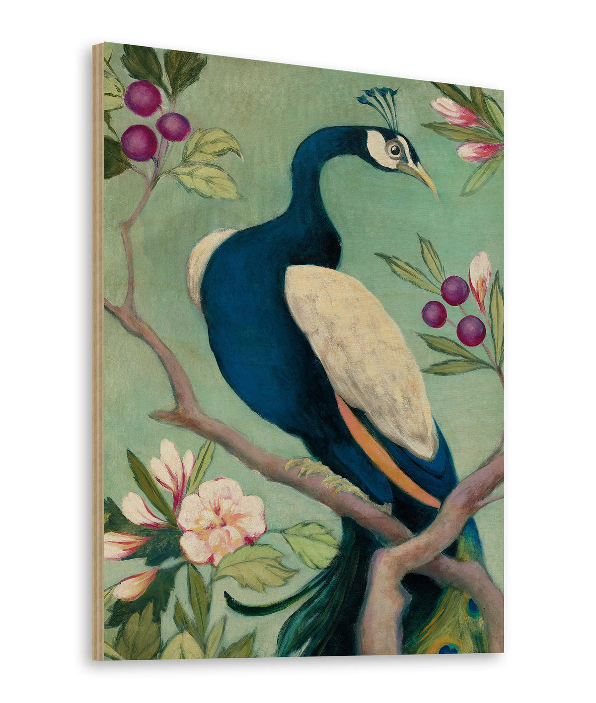 Pretty Peacock I Print - Oakavia