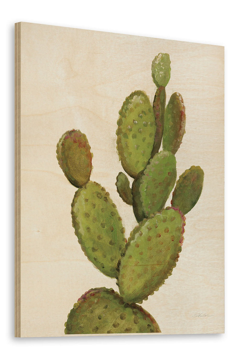 Front Yard Cactus I Crop Print - Oakavia