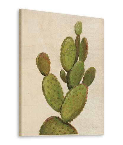 Front Yard Cactus I Crop Print - Oakavia
