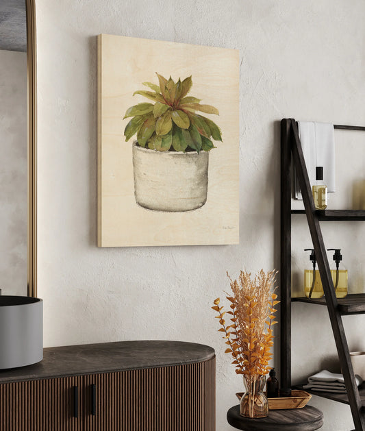 Mixed Greens Succulent III Print - Oakavia