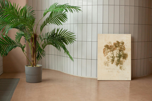 Sauvignon Blanc Print - Oakavia