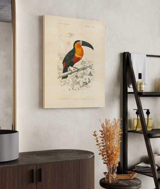 Toucan du Para Print - Oakavia
