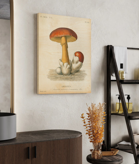 French Mushrooms II Print - Oakavia