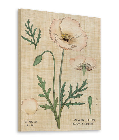 Poppy Chart Linen Print - Oakavia