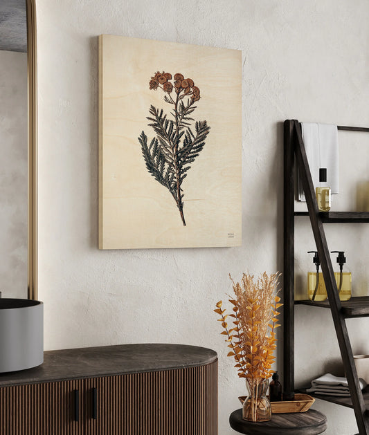 Field Journal Entry III Color Print - Oakavia