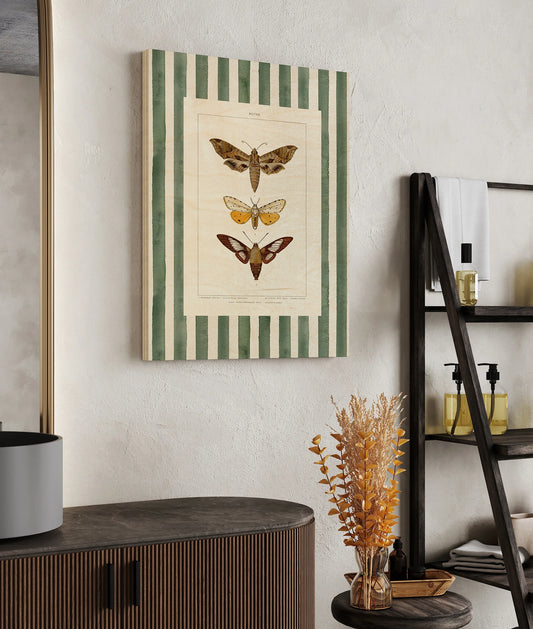 Vintage Moths Stripe I Print - Oakavia