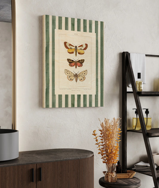 Vintage Moths Stripe II Print - Oakavia