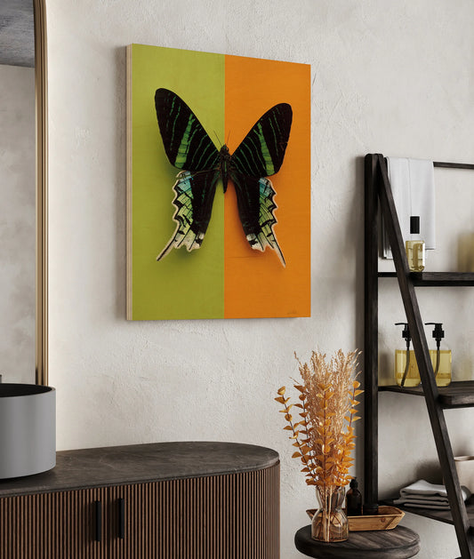 Chromatic Butterfly IV Print - Oakavia