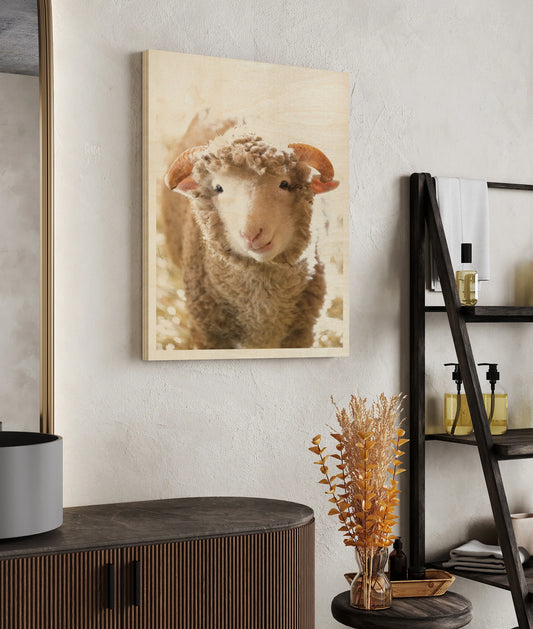 Little Lamb Print - Oakavia