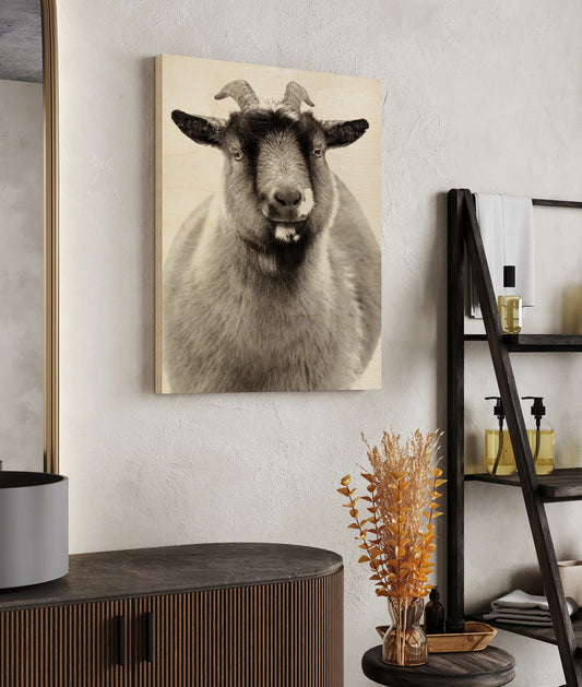 Sally the Goat Print - Oakavia