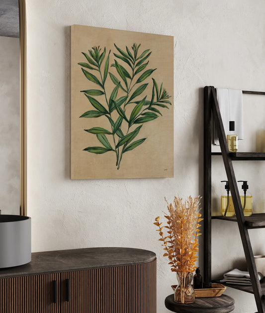 Herbal IV Print - Oakavia